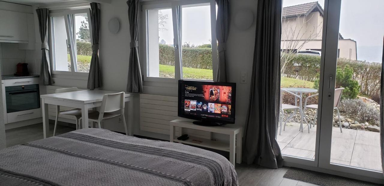 Lake View Private Studio Richterswil Екстериор снимка