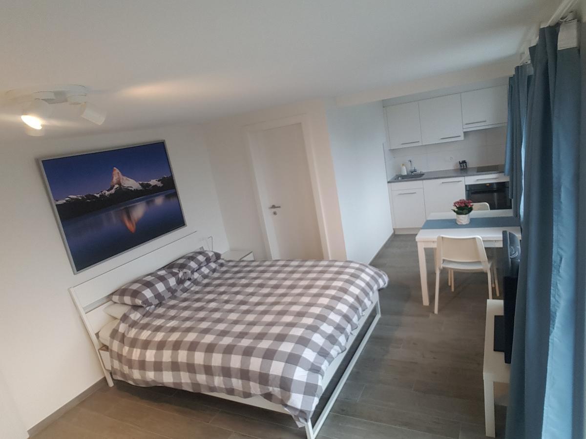 Lake View Private Studio Richterswil Екстериор снимка
