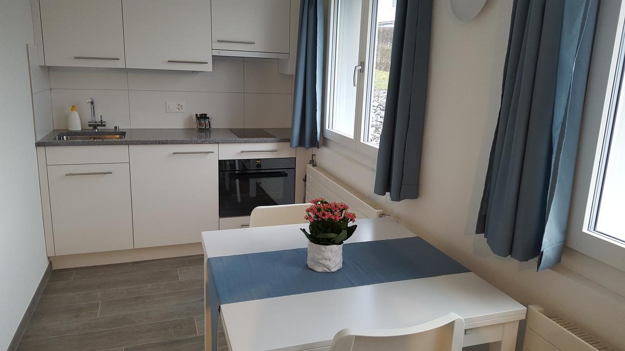 Lake View Private Studio Richterswil Екстериор снимка