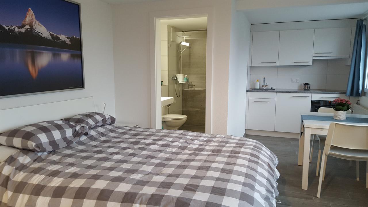 Lake View Private Studio Richterswil Стая снимка