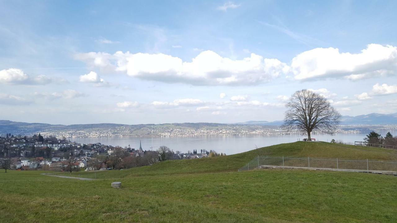 Lake View Private Studio Richterswil Екстериор снимка