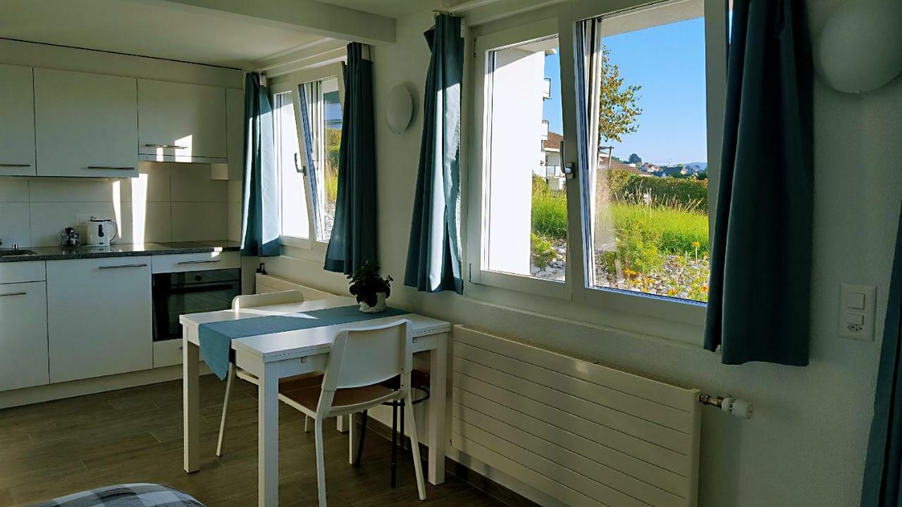 Lake View Private Studio Richterswil Екстериор снимка